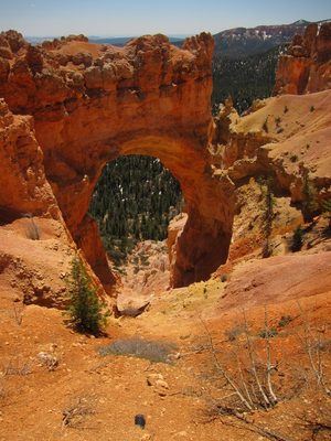 One of the many natural arches in Bryce.  Supposedly you...